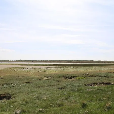 Tipi Texel Lüks kamp alanı 't Horntje