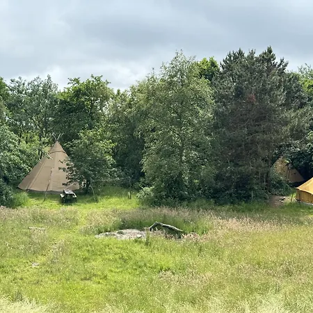 Tipi Texel *