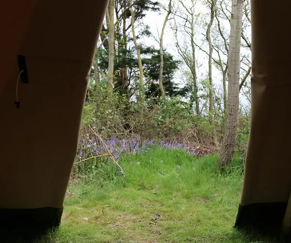 Tipi Texel 't Horntje